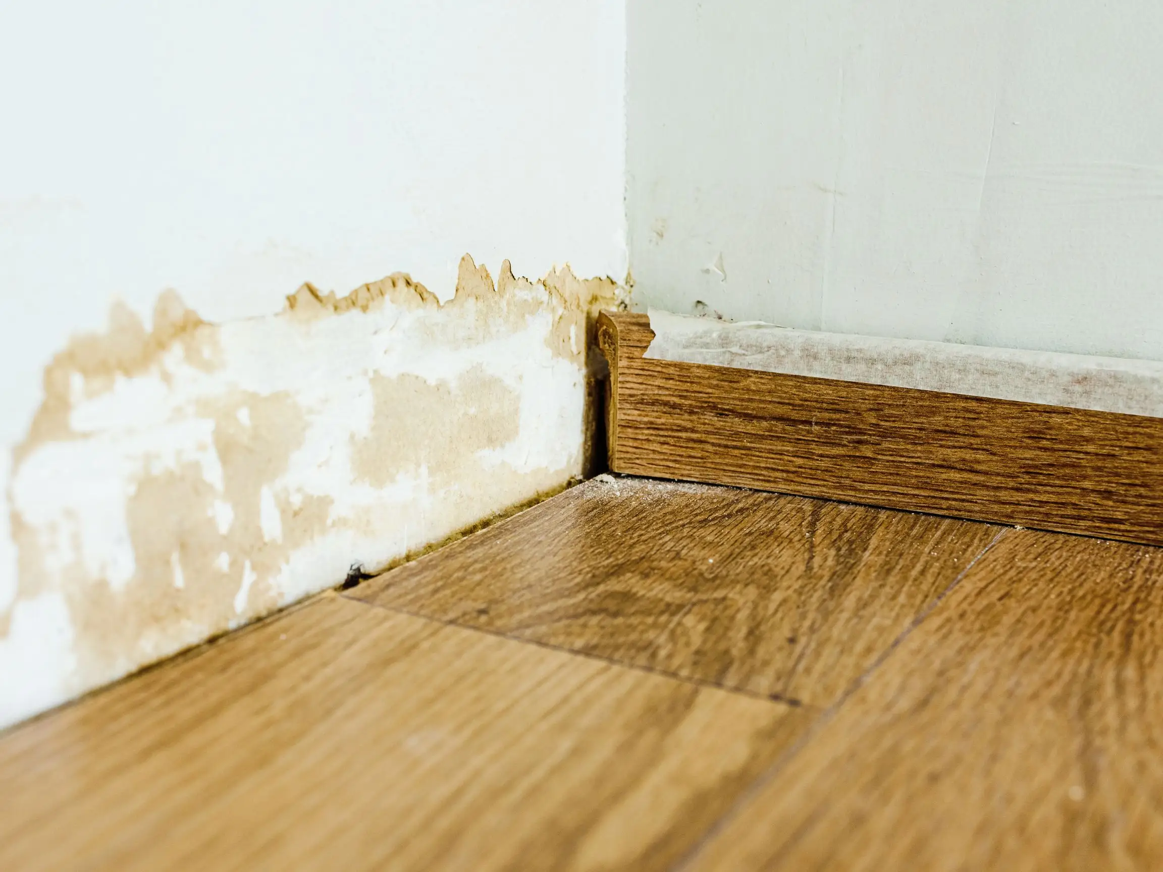 Water Main & Burst Pipe Repair Tips