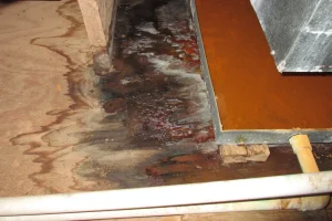 Property and Health Hazards from Leaking Pipes in Winnipeg Homes